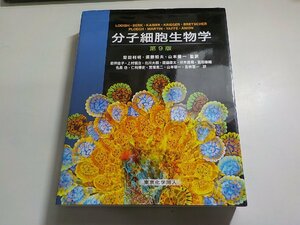 23V0505◆分子細胞生物学 第9版 H. Lodish ほか, 堅田 利明他▼