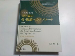 2K5420◆イラストでみる犬と猫の骨・関節へのアプローチ 　ケネス・A.ジョンソン (著), ドナルド・L.ピエマッティ (著)▽