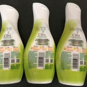 送料込み！バリ島（新品）Citra チトラ アボカド&ハニー ハンド&ボディローション 110ml 3本の画像2