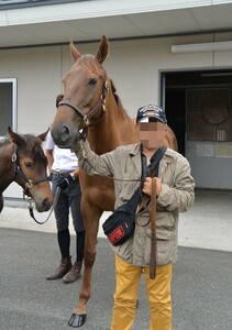 ワイド3点流し(300円ぽっきり)JRA中央競馬予想競馬