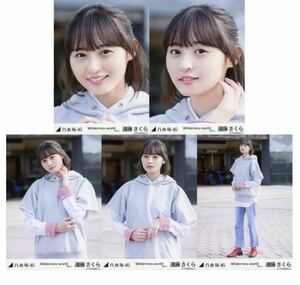 1/22［37］5 乃木坂46 公式グッズ　生写真 5種コンプ　5枚　ヨリチュウヒキ　遠藤さくら　Wilderness world 選抜ver. (ROUTE246)