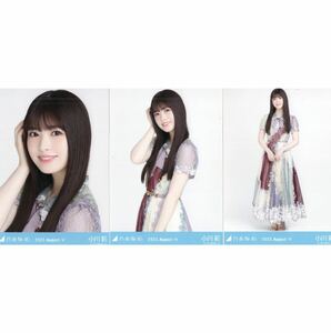 1/16［21］乃木坂46 公式グッズ　生写真 3種コンプ　3枚　ヨリチュウヒキ　小川彩　2023.August-V スペシャル衣装38 