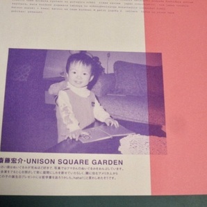 UNISON SQUARE GARDEN ユニゾンスクエアガーデン・XIIX   2008年〜切り抜き 315ページ 斎藤宏介2万字インタビュー有りの画像10