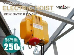 《送料無料》 大特価 家庭用 100V 電動ウインチ 能力250kg 移動式 吊り下げ　運搬【60Hz】 20256※