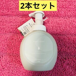 【限定品　2本セット】キレイキレイ　薬用泡ハンドソープ　本体セット