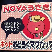 激レア希少品　NOVAうさぎ　ホットおどろく　陶器　マグカップ　2個セット　ノベルティ_画像7