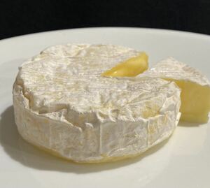 食品サンプル　カマンベールチーズ