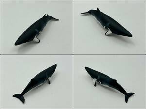〓奇譚クラブ〓ネイチャーテクニカラー 日本のいきもの01 ミンククジラ @海洋生物フィギュア