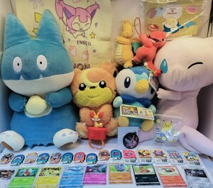 大量 ポケモン ぬいぐるみ ゴンベ ミュウ ポッチャマ ヒメグマ リザード カイリュー タオル キーホルダー フィギュア ポケカ 35点セット