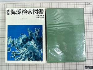 [ out box attaching / the first version ]. color seaweed search illustrated reference book north . pavilion new cape ..