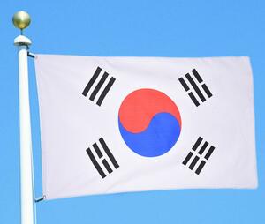 大韓民国 韓国 国旗 フラッグ 応援 送料無料 150cm x 90cm 人気 大サイズ 新品