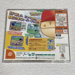 DC ドリームキャスト プロ野球チームをつくろう！ プロ野球チームであそぼう！ Dreamcast 2タイトルセットの画像9