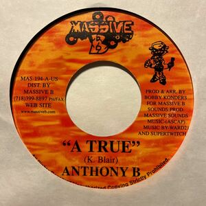 【REGGAE/DANCEHALL】ANTHONY B # A TRUE # THE ROCK / US / 7 / 2001