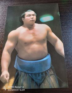 昭和レトロ　千代の富士　アマダ　カード（サイズ約１２，８㎝）ナンバー１５　格安　まとめ　大相撲　横綱　ヴィンテージ