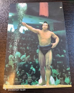 昭和レトロ　千代の富士　アマダ　カード（サイズ約１２，８㎝）ナンバー１４　格安　まとめ　大相撲　横綱　YOKOZUNA SUMO Wrestler