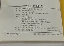 沖縄を彩る 熱帯の花　沖縄都市環境研究会　平良一男/新里隆一/仲村康和/松田正則　沖縄出版【ac03d】_画像6