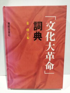 【希少】「文化大革命」詞典　中国語書籍/中文/歴史/毛沢東【ac02b】