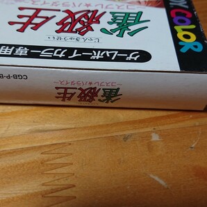 GBC 雀級生 コスプレパラダイス 箱説あり 同梱可の画像4