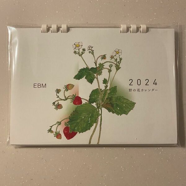 【新品】2024年　EBM 卓上カレンダー　野の花カレンダー