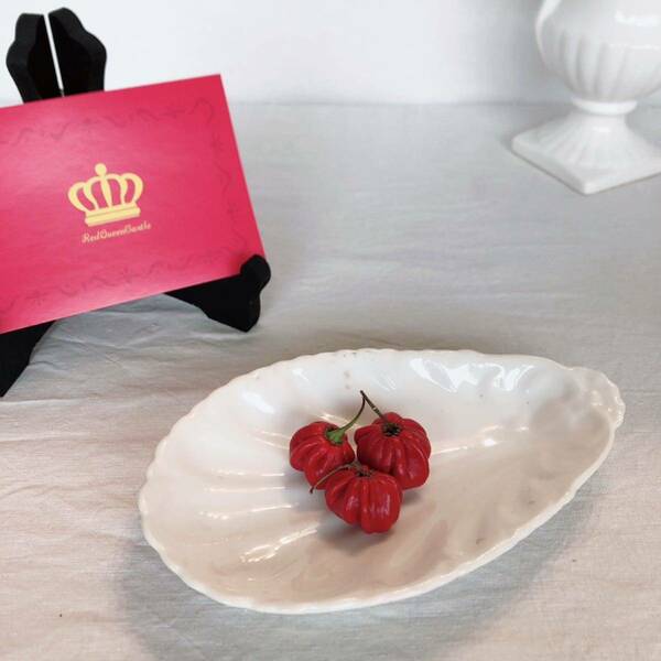 フランス　サルグミンヌ シェル型ラヴィエ オーバル皿　フランスアンティーク食器　アンティークラヴィエ　前菜皿　白い陶器　白い皿