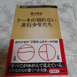 ケーキの切れない非行少年たち 宮口幸治