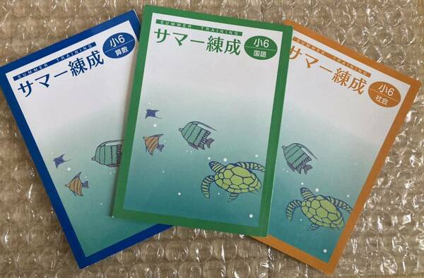 今だけ送料込！サマー練成(小学６年生)　国語・算数・社会の３科目セット　未使用品