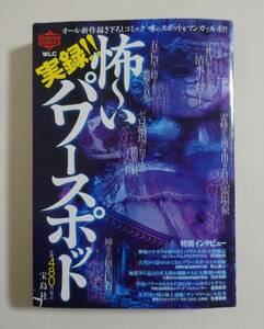 『実録 怖～いパワースポット』2009年 コンビニコミック 佐藤健寿 秘境 ゼロ磁場 五芒星 霊場 巨石 霊峰 富士 検索）奇界遺産