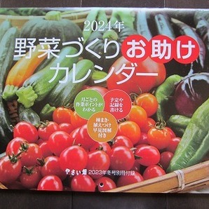 送料無料★即決★2024年 野菜づくりお助け カレンダー やさい畑 2023年冬号付録 壁掛け 新品未使用品★匿名配送 厚紙補強