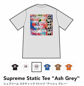 Supreme Static Tee Ash Grey Medium シュプリーム スタティック Tシャツ アッシュ グレー M