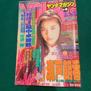 ヤングマガジン■1995年No.4.5■瀬戸朝香■日本の裸族■行け!稲中卓球部