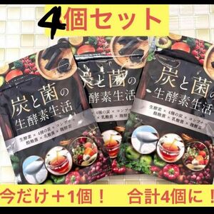 炭と菌の生酵素生活 30日分 4袋 生酵素 コンブチャ 4種の炭 DUEN