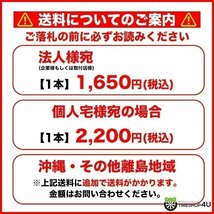 2023年製 TRIANGLE TW401 185/60R15 185/60-15 88H トライアングル WinterX スタッドレス スノータイヤ 新品 4本送料税込19,998円~_画像2