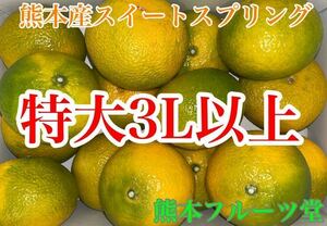 【贈答サプライズ】味に当たり外れなし！見た目を裏切る美味しさスイートスプリング（3L以上約5ｋ）19