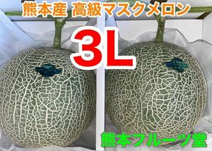 味抜群！熊本産 最高級マスクメロン【秀品2玉3L約4.3k箱込】熊本フルーツ堂33