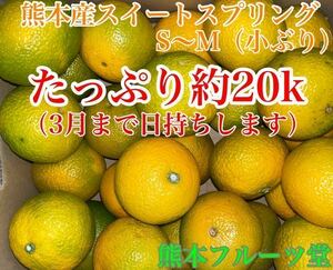 小さくても味に当たりはずれなし！見た目を裏切る美味しさスイートスプリング（小ぶりS〜M約20ｋ3月まで日持ち）13