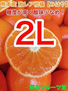 極上激レア新品種！熊本産柑橘 【みはや】 2Lサイズ約5k 熊本フルーツ14