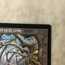 1円〜 マジック:ザ・ギャザリング MTG ガイアの揺籃の地 日本語版_画像5