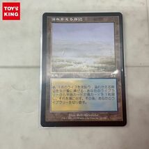 1円〜 MTG マジック:ザ・ギャザリング 溢れかえる岸辺 日本語版_画像1