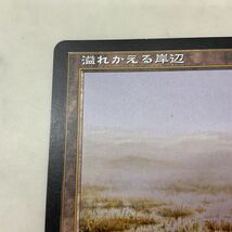 1円〜 MTG マジック:ザ・ギャザリング 土地 溢れかえる岸辺 日本語版_画像5