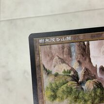 1円〜 MTG マジック:ザ・ギャザリング 土地 樹木茂る山麓 日本語版_画像5