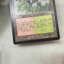 1円〜 MTG マジック:ザ・ギャザリング 土地 樹木茂る山麓 日本語版_画像7