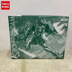 1円〜 MG 1/100 新機動戦記ガンダムW Endless Waltz アルトロンガンダム EW