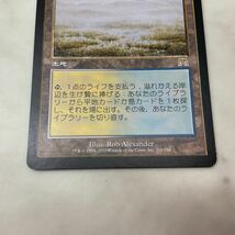 1円〜 MTG マジック:ザ・ギャザリング 日本語版 溢れかえる岸辺_画像7