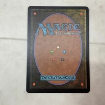 1円〜 MTG マジック:ザ・ギャザリング 樹木茂る山麓 日本語版_画像3