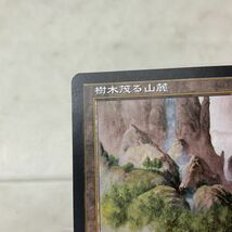 1円〜 MTG マジック:ザ・ギャザリング 樹木茂る山麓 日本語版_画像4