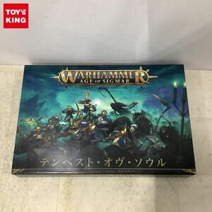 1円〜 ジャンク GAMES WORKSHOP ウォーハンマー・エイジ・オヴ・シグマー テンペスト・オヴ・ソウル スタートセット