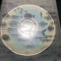 サカナクション CD 魚図鑑_画像7