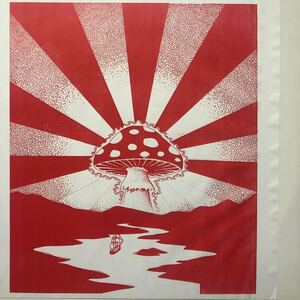 b 12インチ Various The Psychedelic Voyage LP レコード 5点以上落札で送料無料