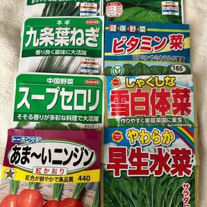 野菜の種　8種