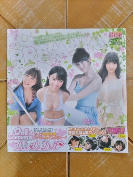 ヤングガンガン 2013年6月7日号 特別付録DVD・柏木由紀(AKB48)・鈴木愛理(℃-ute)・星名美津紀・大場美奈・今野杏南・小宮有紗・岸明日香